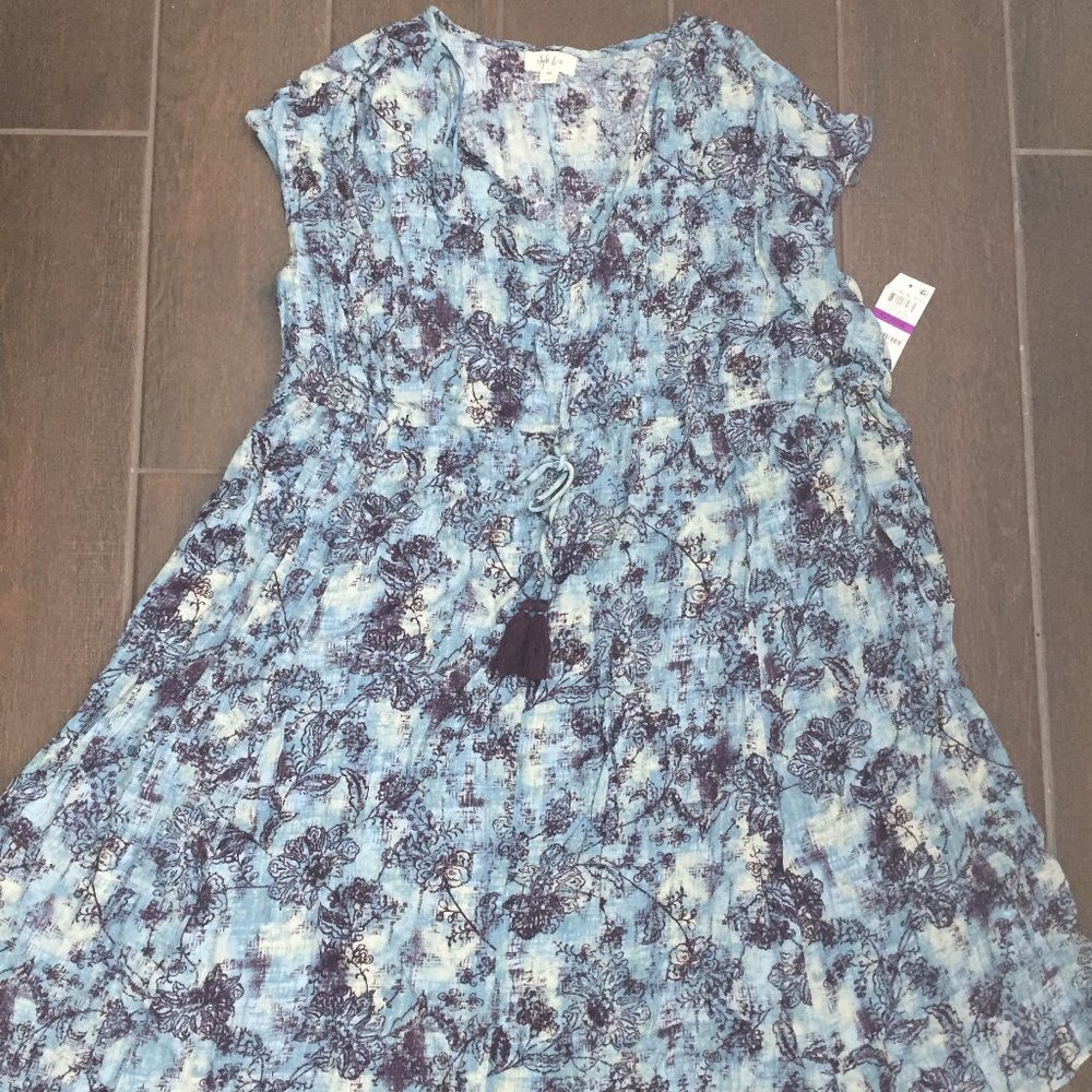 Dress Style & Co.